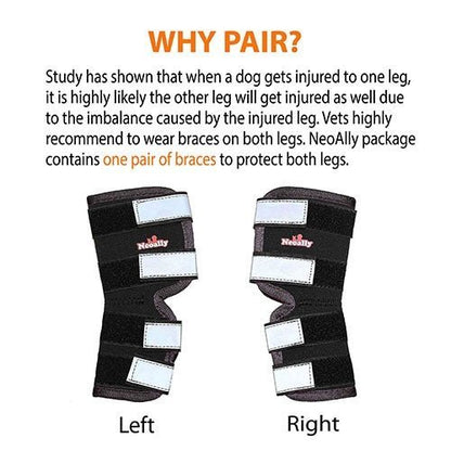 NeoAlly Dog Rear Leg Hock Brace with Safety Reflective Straps for Large Dogs