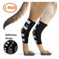 NeoAlly Dog Rear Leg Hock Brace with Safety Reflective Straps for Large Dogs