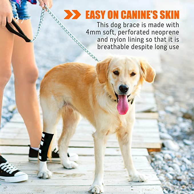 NeoAlly Dog Rear Leg Hock Brace with Safety Reflective Straps for Large Dogs