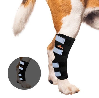 NeoAlly Dog Rear Leg Hock Brace with Safety Reflective Straps for Large Dogs