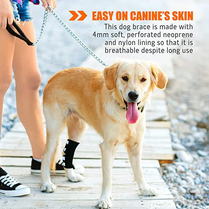 NeoAlly Dog Rear Leg Hock Brace with Safety Reflective Straps for Large Dogs