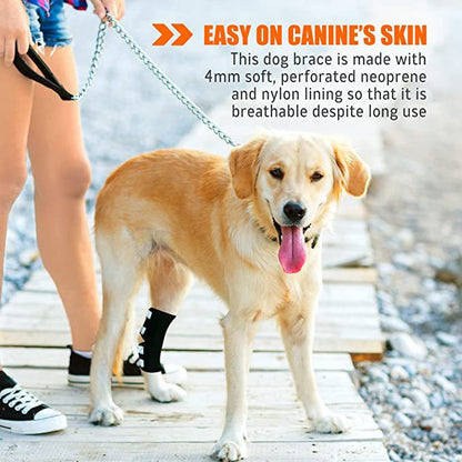 NeoAlly Dog Rear Leg Hock Brace with Safety Reflective Straps for Large Dogs