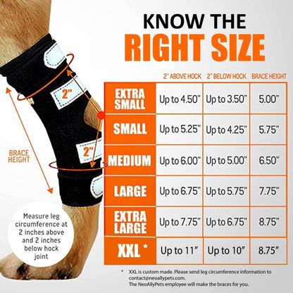 NeoAlly Dog Rear Leg Hock Brace with Safety Reflective Straps for Large Dogs
