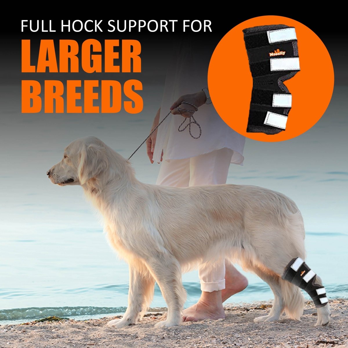NeoAlly Dog Rear Leg Hock Brace with Safety Reflective Straps for Large Dogs