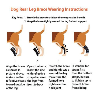 NeoAlly Dog Rear Leg Hock Brace with Safety Reflective Straps for Large Dogs