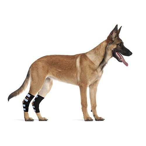 NeoAlly Dog Rear Leg Hock Brace with Safety Reflective Straps for Large Dogs