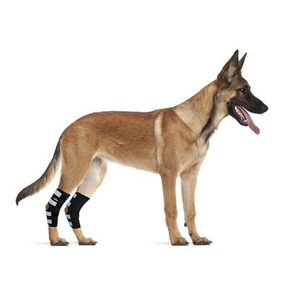 NeoAlly Dog Rear Leg Hock Brace with Safety Reflective Straps for Large Dogs