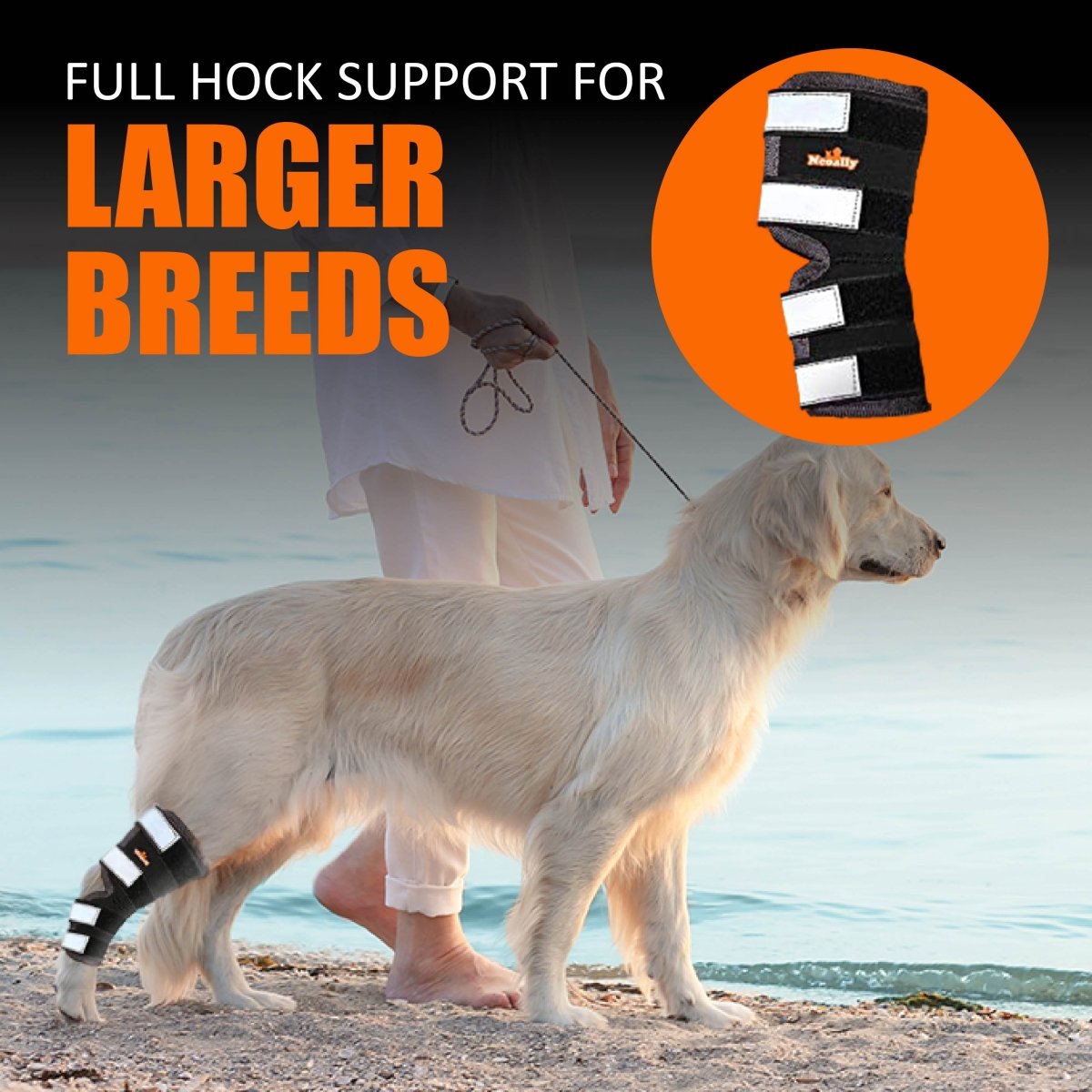 NeoAlly Dog Rear Leg Hock Brace with Safety Reflective Straps for Large Dogs