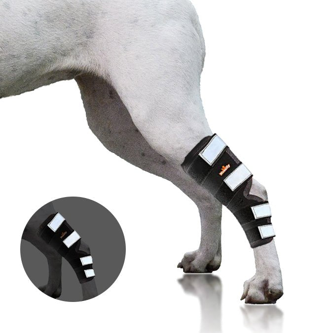 NeoAlly Dog Rear Leg Hock Brace with Safety Reflective Straps for Large Dogs