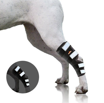 NeoAlly Dog Rear Leg Hock Brace with Safety Reflective Straps for Large Dogs