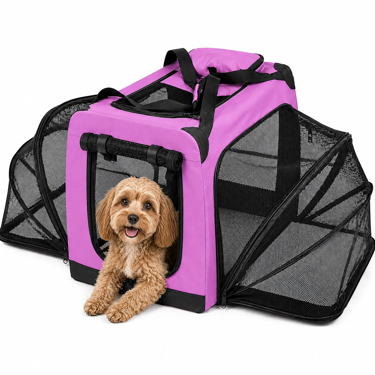 Pet Life ®  'Hounda Accordion' Metal Framed Soft-Folding